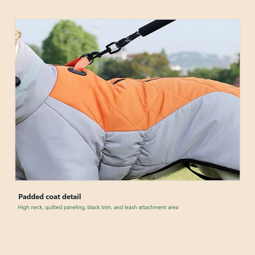 Waterproof Winter Dog Coat